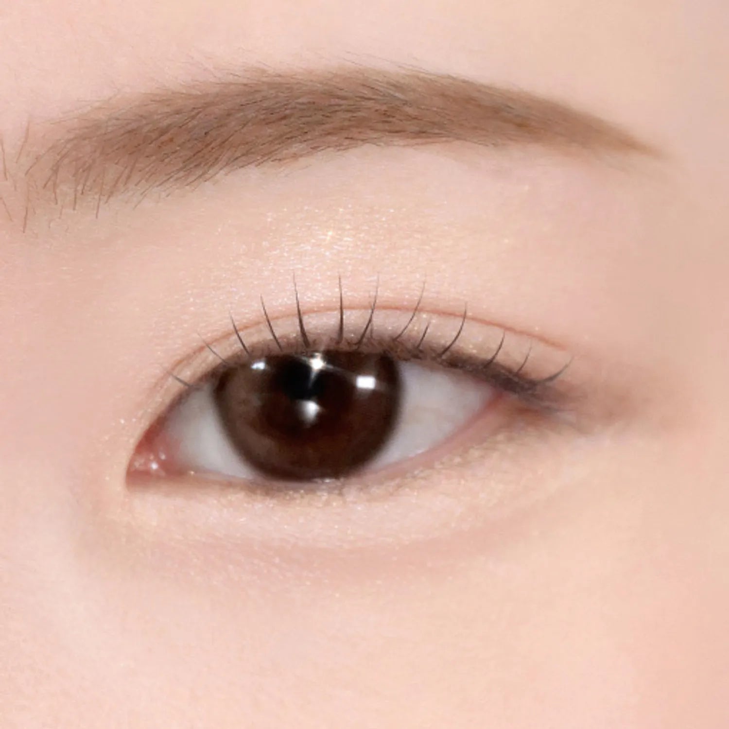 Too Cool For School - Frottage Pencil 臥蠶筆 21色選擇