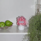 WELCOMETOCCC - Totti Lamp (4 Colors)