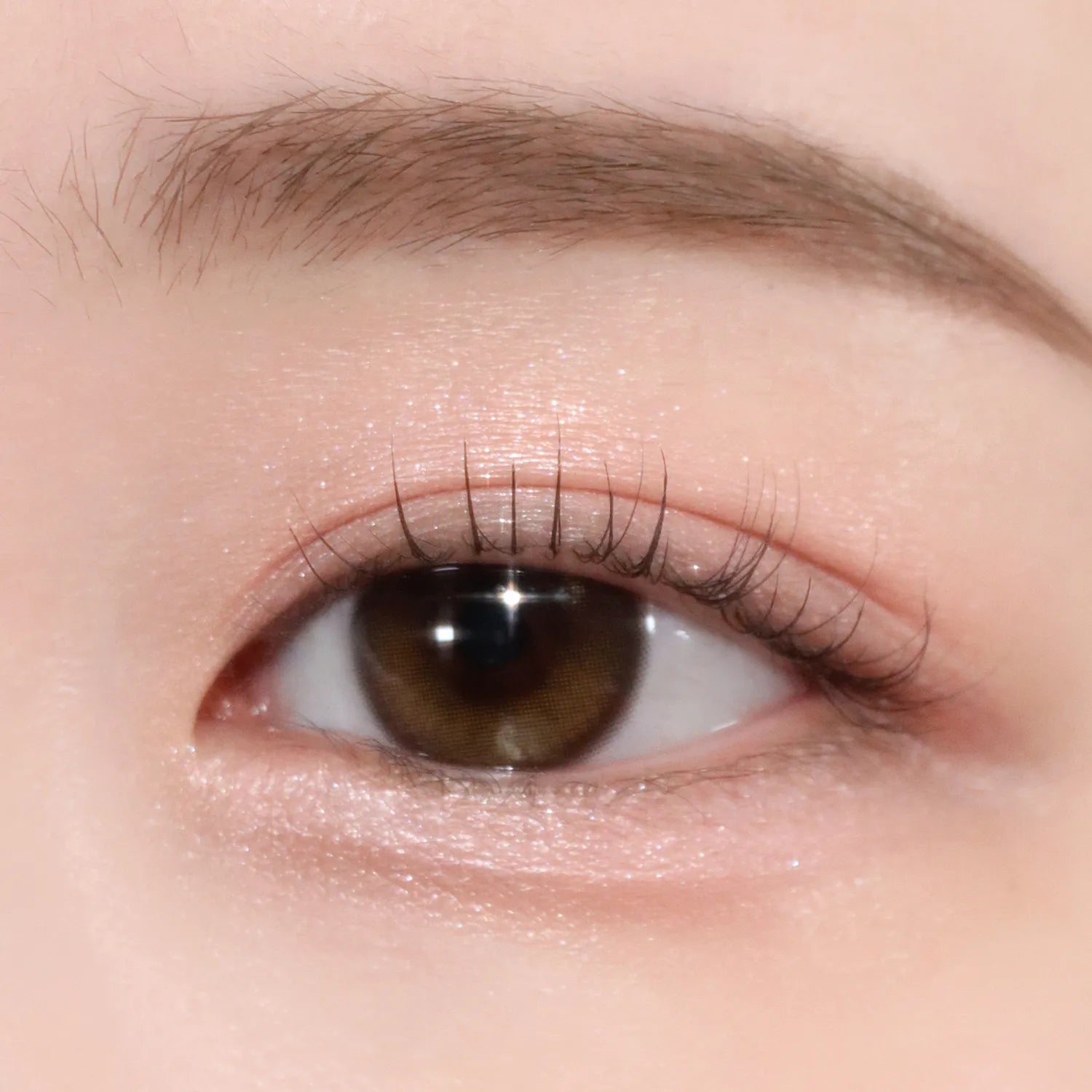 Too Cool For School - Frottage Pencil 臥蠶筆 21色選擇