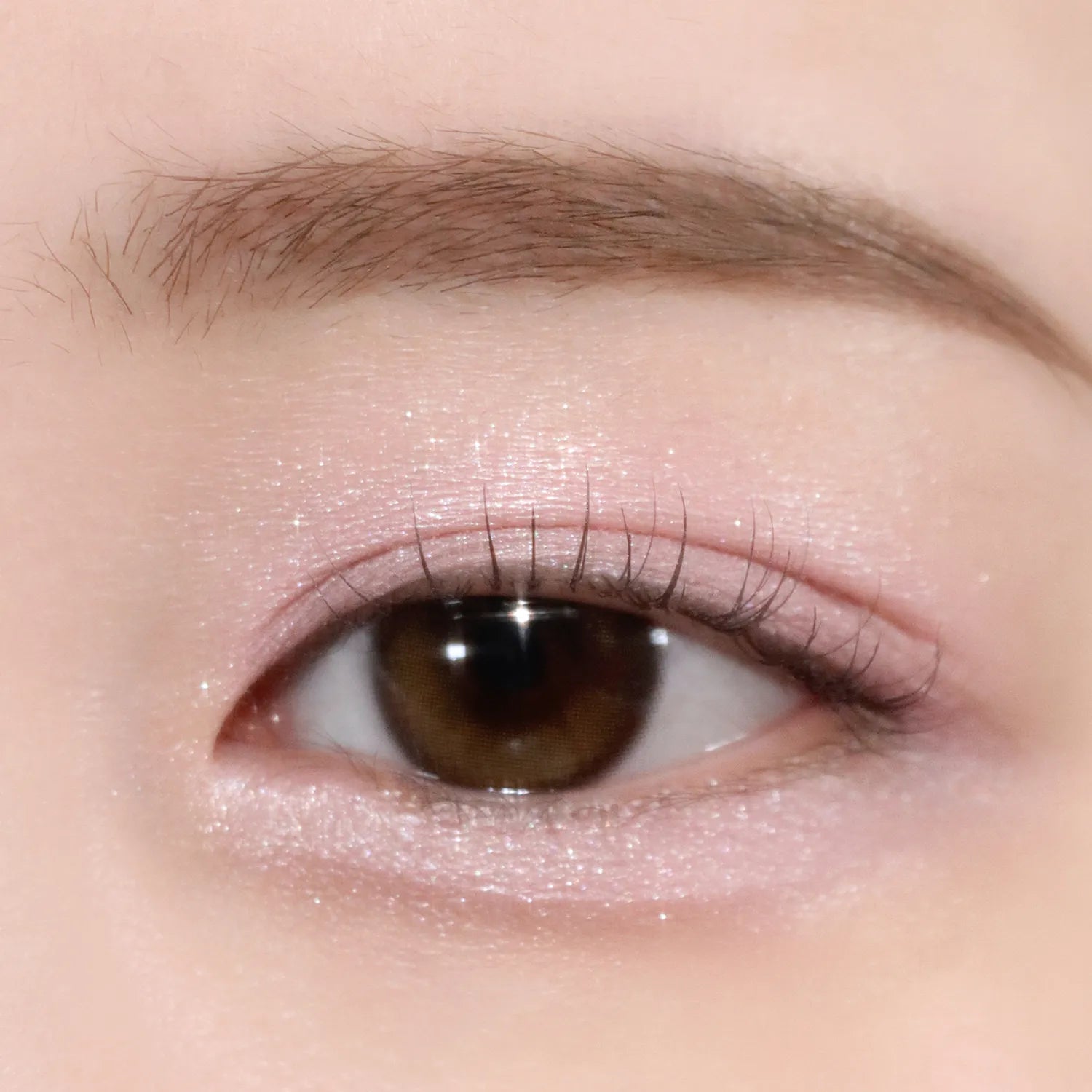 Too Cool For School - Frottage Pencil 臥蠶筆 21色選擇