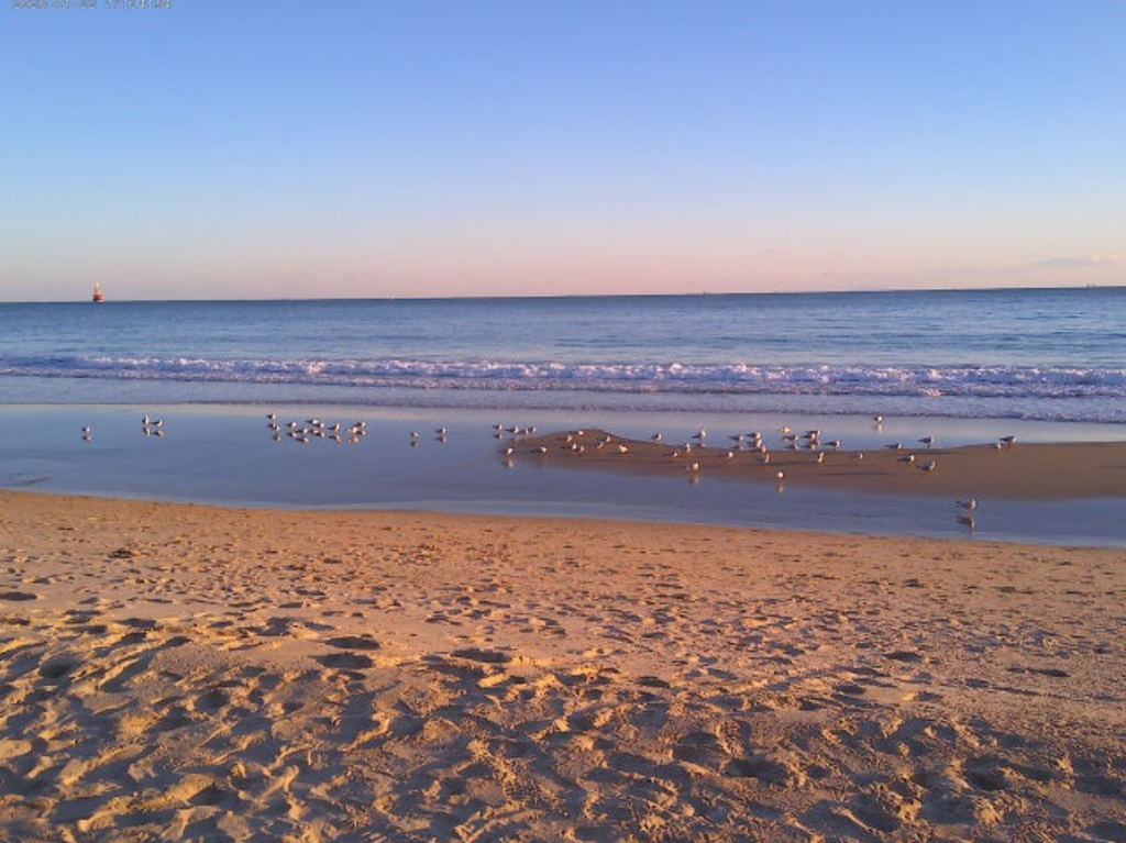 [金裕貞同款] POTOTO - Y2K Star Edition Vintage Digital Camera 星星限定版 復古相機