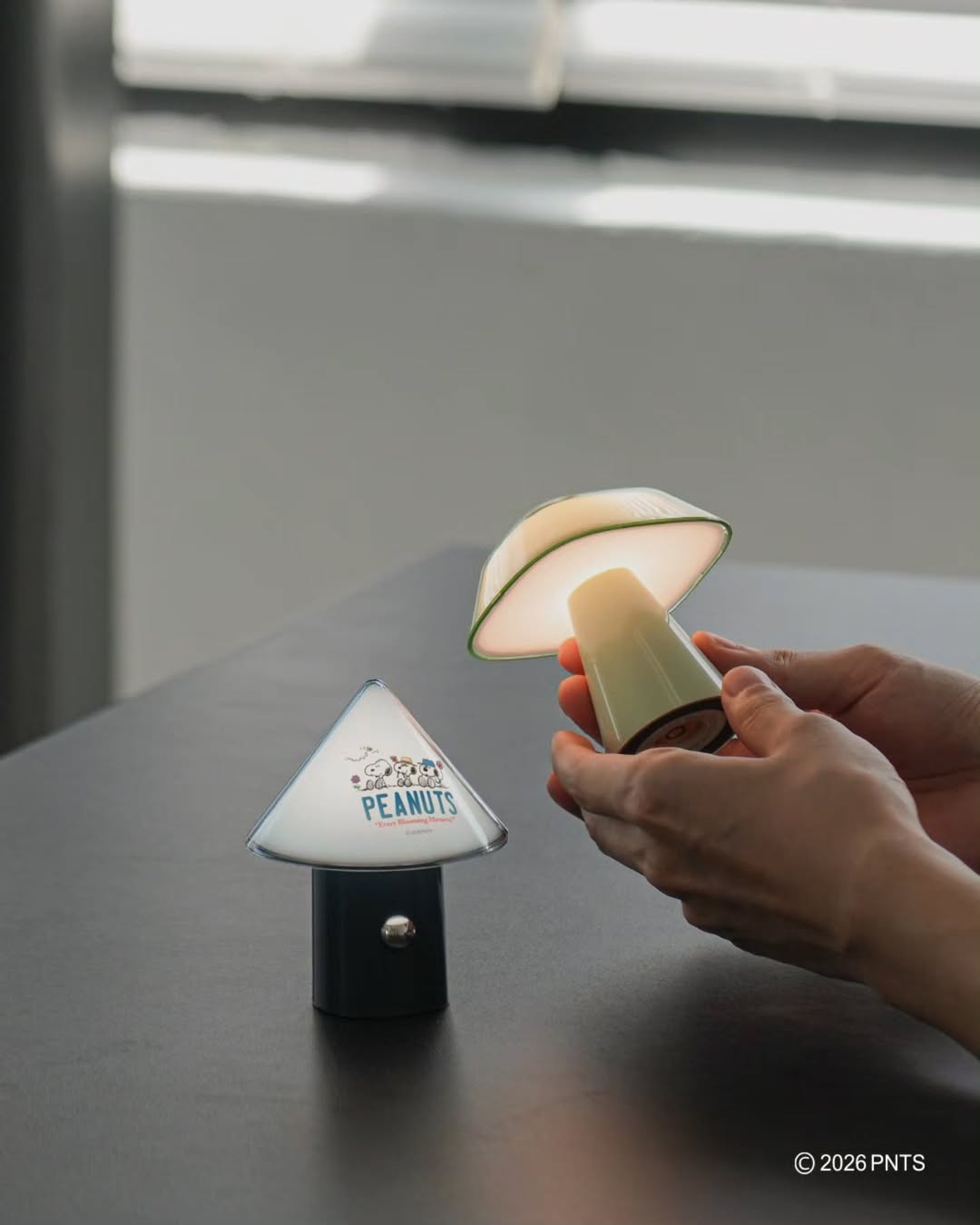 LUMENA X PEANUTS SPACE S GARDEN EDITION Portable lamp (ROOF)